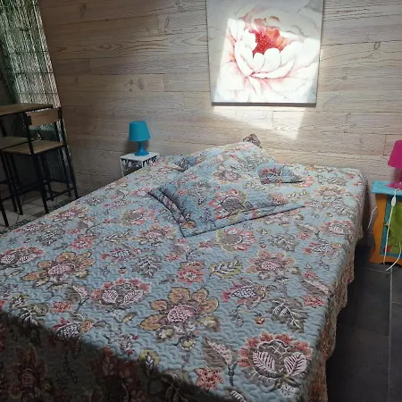 Studio Cosy Avec Terrasse Bassin D'Arcachon * La Teste-de-Buch